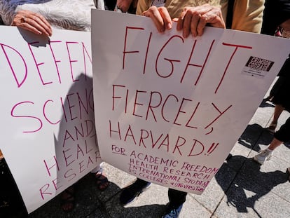 Defensores de la Universidad de Harvard, este lunes ante el tribunal federal de Boston.