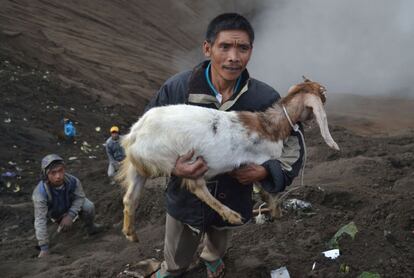 Un hombre de la tribu Tengger lleva en brazos a una cabra hasta la cima del Monte Bromo, en Probolinggo, Indonesia. 