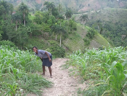 La deforestación afecta al 98% de las montañas de Haití. Una mujer camina sin zapatos por el municipio de Leogane, donde miles de personas viven de hacer carbón.