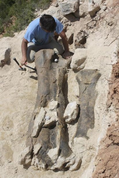 Fémur de dinosaurio en Teruel.