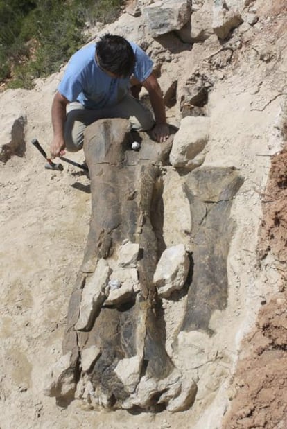 Fémur de dinosaurio en Teruel.