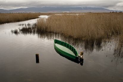 EL DILUVIO. Entre diciembre y febrero han caído 400 litros por metro cuadrado en este parque nacional. Desde 1946, nunca había llovido tanto.