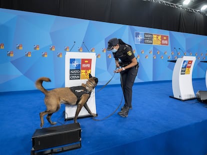 Una agente de la Policía Nacional con un perro adiestrado en el dispositivo puesto en marcha para la OTAN, en Ifema este lunes.