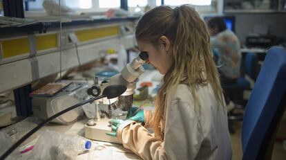 Una investigadora en un laboratorio de la Universidad de Jaen.
 