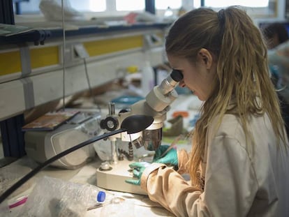 Una investigadora en un laboratorio de la Universidad de Jaen.
 