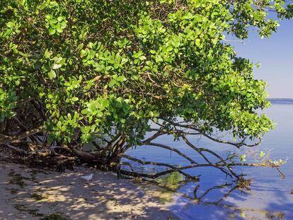 As&iacute; podr&iacute;a ser el rinc&oacute;n de la playa donde aparecen los dos cad&aacute;veres de este crimen ficticio