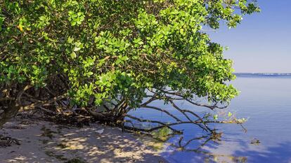Así podría ser el rincón de la playa donde aparecen los dos cadáveres de este crimen ficticio