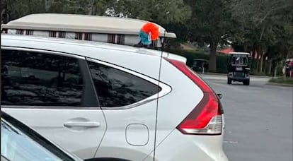 An antenna marker in The Villages, Florida.