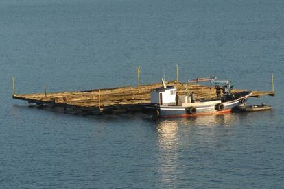 Batea depuradora en la r&iacute;a de Ferrol