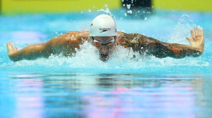 Caeleb Dressel durante las pruebas preliminares de 100 mariposa.