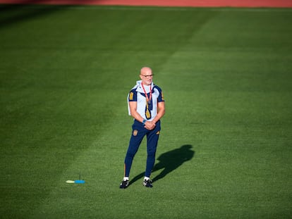 El seleccionador español, Luis de la Fuente