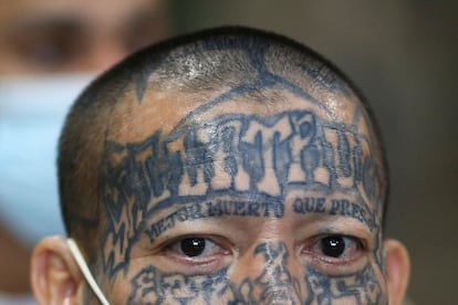 A man with tattoos at the Terrorism Confinement Center in El Salvador, April 4, 2025.