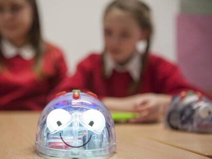 Robots utilizados en contextos educativos en un programa de la Universidad de Plymouth.