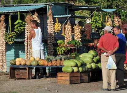 Varias personas compran alimentos en un puesto de Mariel