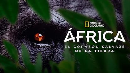 África, el corazón salvaje de la tierra