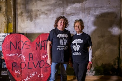 Inés Prada (izquierda) y Ángela Menéndez, vecinas de la zona oeste de Gijón, con un cartel contra la contaminación donde se lee "Nos van a matar a polvos". 