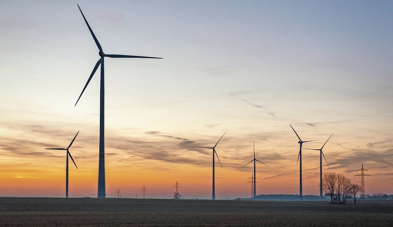 Las eólicas ensayan sistemas tecnológicos para evitar la mortalidad de aves y murciélagos