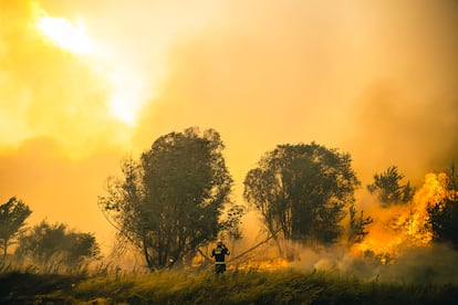 Las últimas localidades desocupadas han sido Otero de Bodas, Val de Santa María, Olleros de Tera, Calzadilla de Tera y Pumarejo de Tera, donde se ejecutan trabajos de fuego técnico para evitar que las llamas se acercasen a las casas.