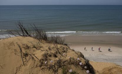 Las dunas y la playa en el acantilado de El Asperillo (Huelva).