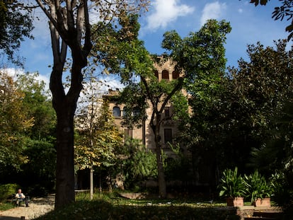 El enorme aguacate (en el centro de la imagen) situado delante de la casa de Julio Muñoz Ramonet.