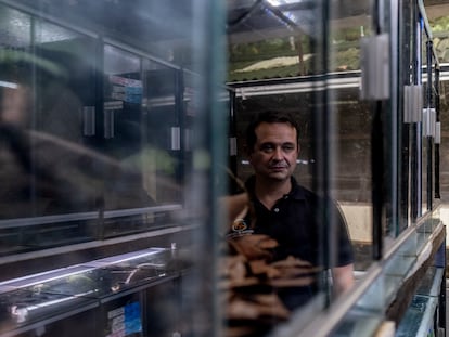 Iván Lozano, fundador de Tesoros de Colombia, en uno de los laboratorios de zoocría de ranas, en Cota, Colombia.