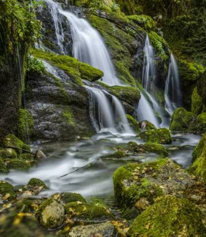 Nacimiento del río Llobregat, en Castellar de N'Hug, en la comarca barcelonesa del Berguedà.