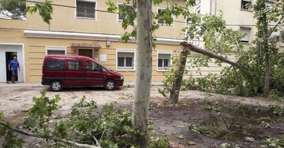 Una calle de Aranjuez el d&iacute;a despu&eacute;s de la tormenta.