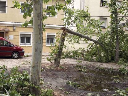 Una calle de Aranjuez el día después de la tormenta.