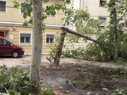 Una calle de Aranjuez el d&iacute;a despu&eacute;s de la tormenta.