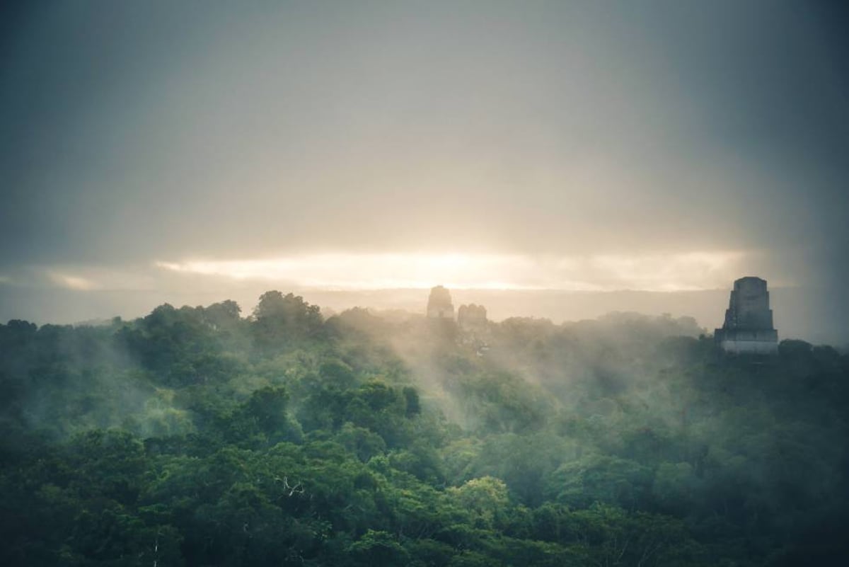 The Mayan jungle has lost a third of its forest cover in the last two decades