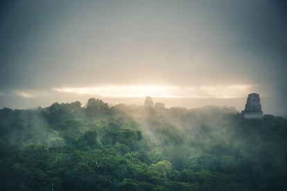 Dos de los templos de Tikal, descollando sobre el dosel de la selva del Petén, en Guatemala.