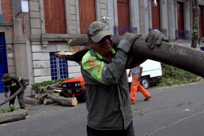 Los trabajadores del Gobierno tuvieron una dura jornada retirando los árboles caídos y los 2.600 metros cúbicos de desechos que cubrieron las calles de la ciudad.