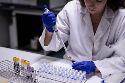 En la imagen de archivo, una técnica de laboratorio trabaja en el laboratorio. 