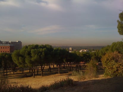 Nube de contaminación en el cielo de Madrid, vista esta mañana desde la Dehesa de la Villa.