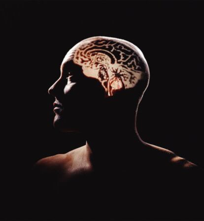 La neurociencia quiere entender el desarrollo cerebral y qué pasa cuando hay fallos en el proceso.