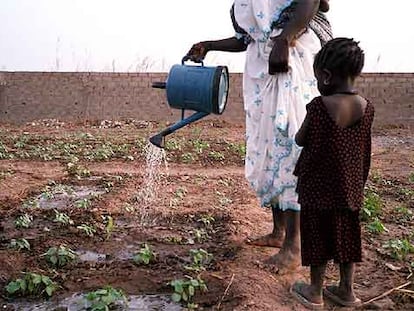 Una mujer riega un huerto en la comunidad de Sare Coly Salle, en Senegal.