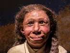 Exposición sobre neandertales en el museo de Moesgaard, en Dinamarca. Moesgaard Museum / Neanderthal Exhibition 2020-21