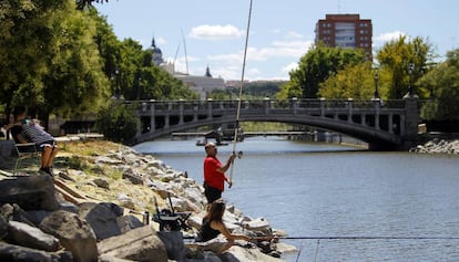 Personas pescando en el río Manzanares a la altura del Puente de la Reina Victoria, en Madrid.