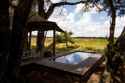 Los hoteles en el delta del Okavango están integrados en el paisaje y no hay vallas que impidan el paso de los animales.