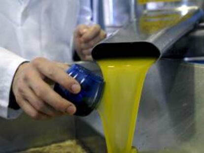 Aceite en una almazara. EFE/Archivo