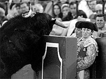 Nada más salir del toril, el toro derrota sobre el burladero donde aguarda Vicente Bejarano.