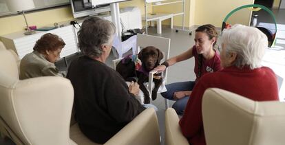 Terapia con perros para pacientes con alzhéimer en el CRE de Salamanca.