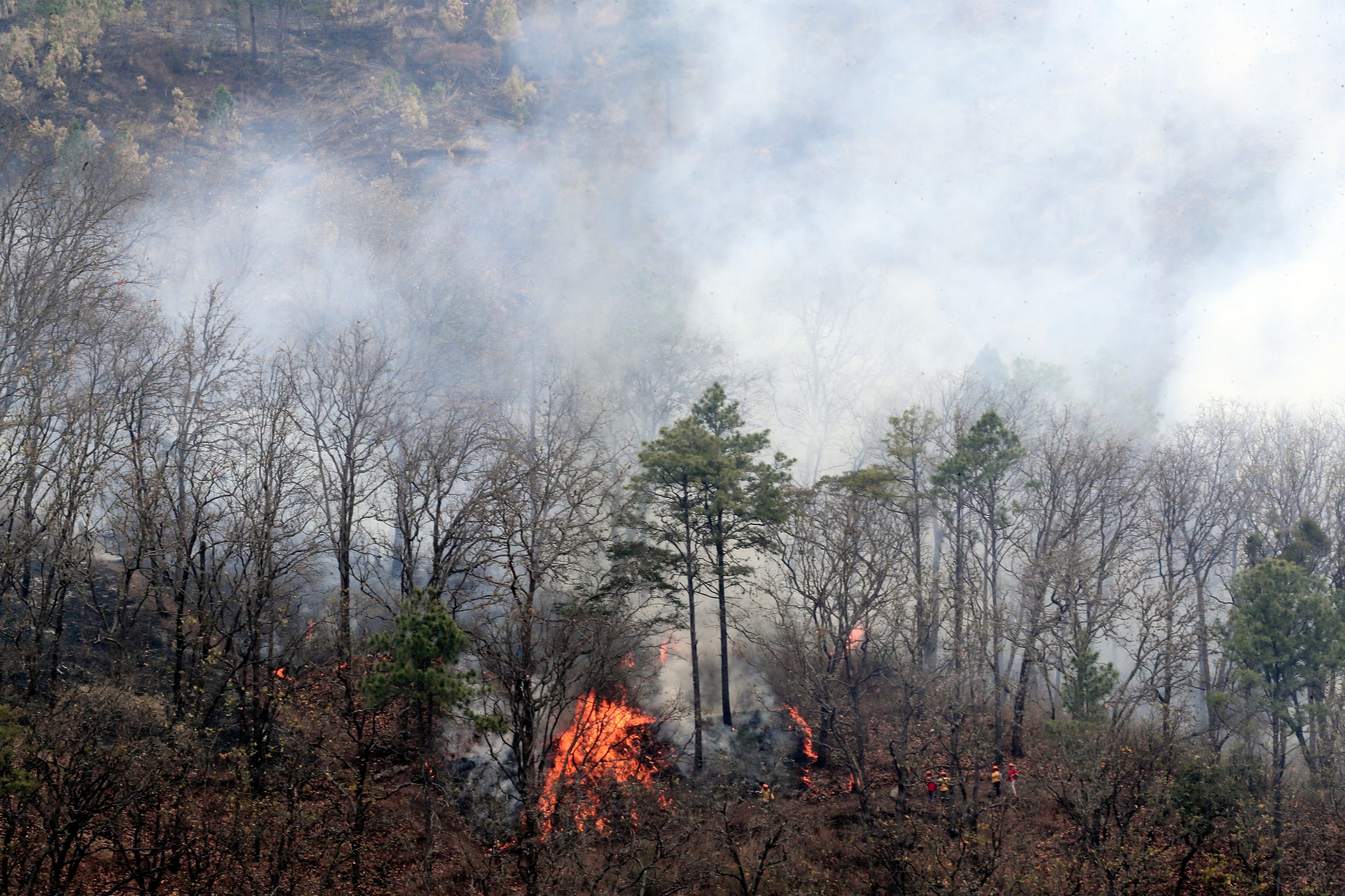 Un incendio forestal se extiende en una montaña cercana a Tegucigalpa, Honduras, el 10 de abril.