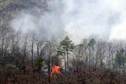 Un incendio forestal se extiende en una montaña cercana a Tegucigalpa, Honduras, el 10 de abril.
