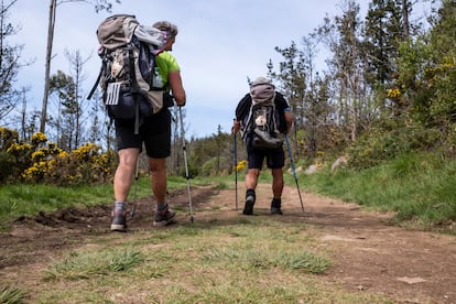 Dos peregrinos, en una etapa del Camino de Santiago en Galicia.