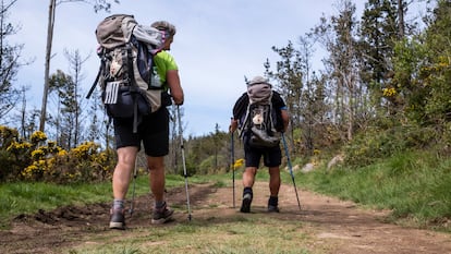 Dos peregrinos, en una etapa del Camino de Santiago en Galicia.