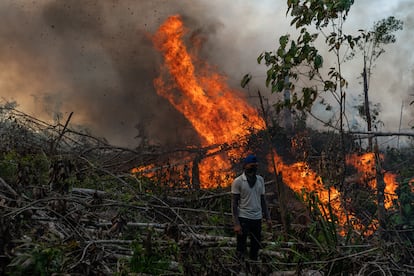 Mientras se quema la selva, un campesino  cuenta que con la quema de este bosque va a poder tener ganado y así alimentar a su familia. En esta zona no hay presencia estatal, la misma comunidad hace las escuelas para que estudien sus hijos y no hay puestos de salud.