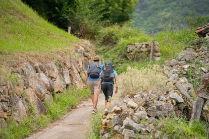Unos peregrinos, a la altura de Sobrelapeña.