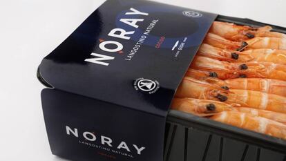 Noray Seafood capta 16 millones para quintuplicar la cría de langostino en Valladolid