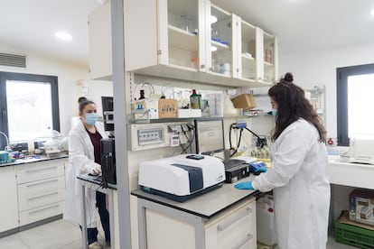 Algunos trabajadores en el laboratorio de la empresa Barna, en Mundaka (País Vasco).